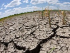 Роман Яковлев: Режим ЧС — это привлечение дополнительного финансирования для предотвращения последствий засухи в регионе